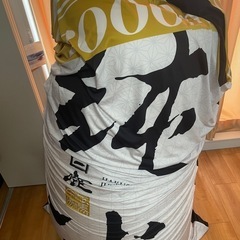 ビーズクッション　未使用品　の画像
