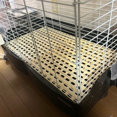 飼育ケージの画像