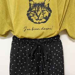 【中古】L～LLサイズ レディース 半袖 シアートップス パンツ 2点セットの画像