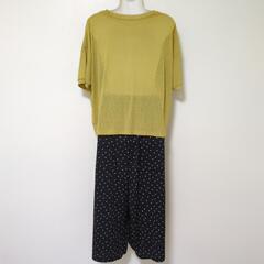【中古】L～LLサイズ レディース 半袖 シアートップス パンツ 2点セットの画像