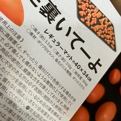 足裏いてーよ　の画像