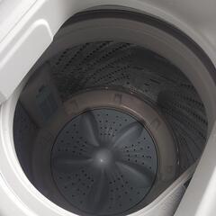 Hisense  洗濯機 5.5k  2019年製の画像