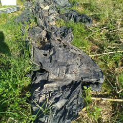 黒マルチ　135cm x 38mくらい　数十枚(枚数不明)の画像