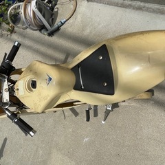 ポケバイ　の画像