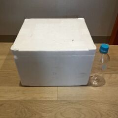発泡スチロール　発泡容器　1個　キャンプ　BBQ　釣りにいかがですか？の画像