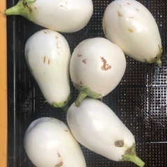 訳あり野菜を食べてくださる方1家族募集しますの画像