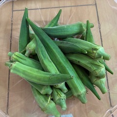 なす、きゅうり、オクラ
の画像