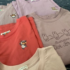 半袖 Tシャツ レディースSサイズ 160cmの画像