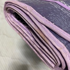 ゲンガー 軽自動車 日除けの画像