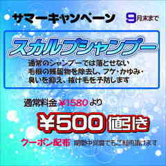 ヘッドスパ：スカルプシャンプー値引き：サマーキャンペーン：クーポ...