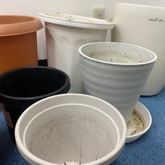 【無料】園芸用プランターセット プラスチックやセトモノ多数！の画像