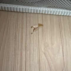 値下げ！ウッドカーペットフローリング の画像
