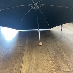 日傘の画像