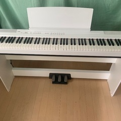 YAMAHA P-105の画像