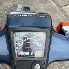 角目カブの画像