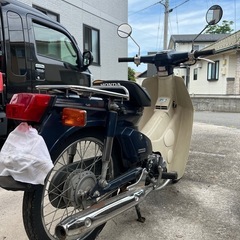 角目カブの画像