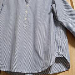 ✽8/16㈯~8/23㈯  綿100%のシャツの画像