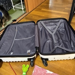 白Mサイズ♡キャリーケースの画像