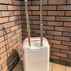 lewelna rose キャリーケース 機内持ち込みの画像
