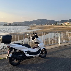 2025現行　pcx125  走行550キロ　傷多分なしの画像