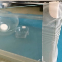 ハムスター　クリアケージの画像