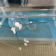 ハムスター　クリアケージの画像