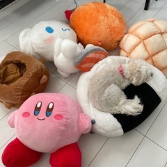 サムネイル