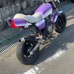 エイプ50 始動確認済 の画像