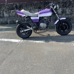 エイプ50 始動確認済 の画像