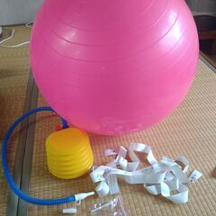  Flex Balloonバランスボールの画像