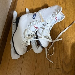 アイススケート用靴 21センチ 他サイズありの画像
