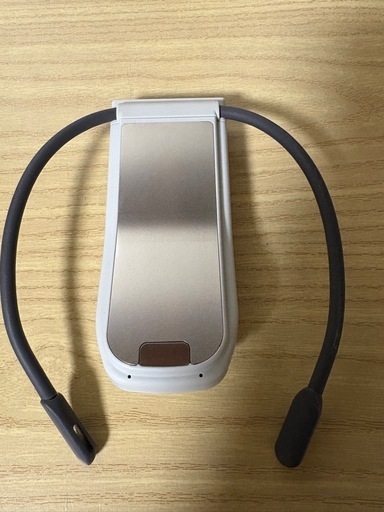 美品　SONY REON POCKET PRO RNPK-P1 ソニー レオン プロ