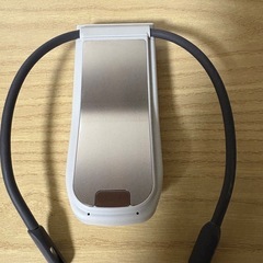 美品　SONY REON POCKET PRO RNPK-P1 ソニー レオン プロの画像