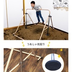 室内用　鉄棒の画像