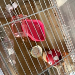 ハムスターゲージの画像