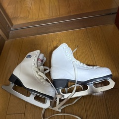 アイススケート用靴 21センチ 他サイズありの画像