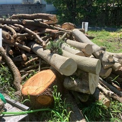 無料でお譲りします　薪材・原木・木材の画像