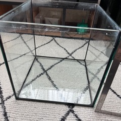 25cmキューブガラス水槽(中古))の画像
