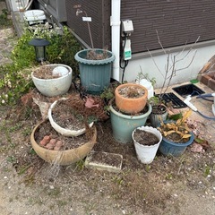 【取引中】【無料】植木鉢・ガーデニング雑貨差し上げます（取りに来てくださる方）の画像