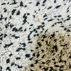 【本日8/9引取限定】IKEAじゅうたん175×230cmの画像