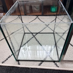 25cmキューブガラス水槽(中古))の画像