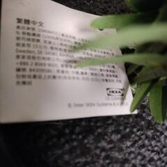 新品未使用  IKEA  フェイクグリーンの画像