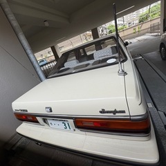 その他セドリック写真の画像