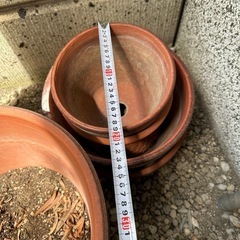 植木鉢５点セットの画像