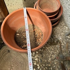植木鉢５点セットの画像