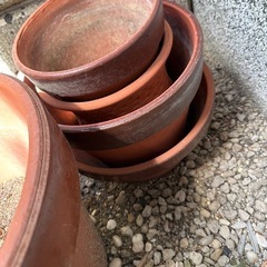 植木鉢５点セットの画像