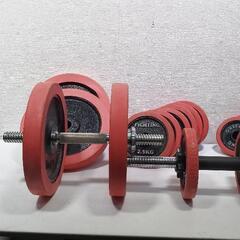 FIGHTING ROAD（ファイティングロード）のラバータイププレート 計65キロ 0809-012の画像