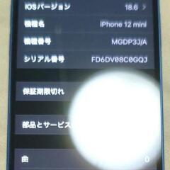 iPhone12 mini 128GB ブルー SIMフリーの画像