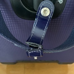 　kananaキャリーバッグ
の画像
