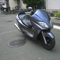 フォルツァ　美車動画付の画像